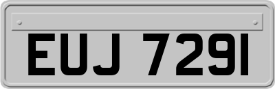 EUJ7291