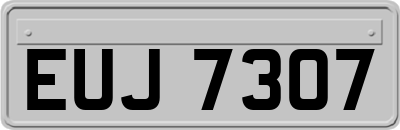 EUJ7307