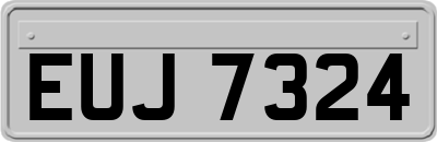 EUJ7324