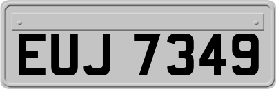 EUJ7349
