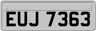 EUJ7363