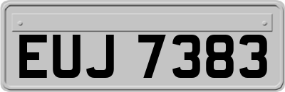 EUJ7383