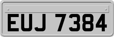 EUJ7384