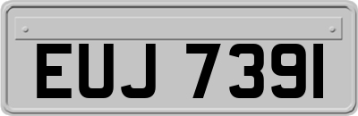EUJ7391