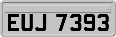 EUJ7393