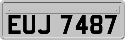 EUJ7487