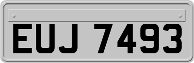 EUJ7493