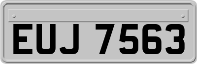 EUJ7563