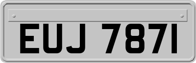 EUJ7871
