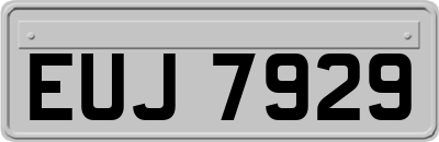 EUJ7929