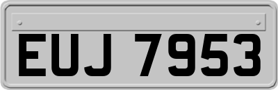 EUJ7953