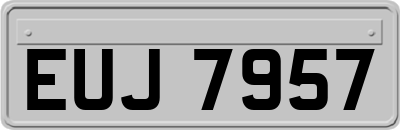 EUJ7957
