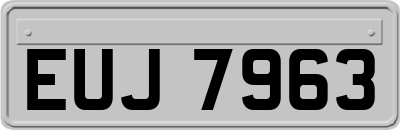 EUJ7963