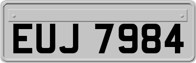 EUJ7984