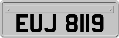 EUJ8119