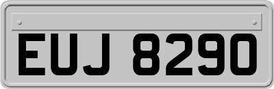 EUJ8290