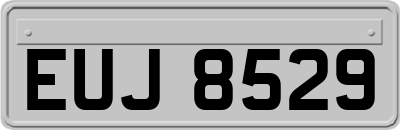 EUJ8529