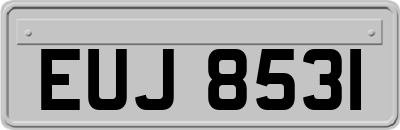 EUJ8531