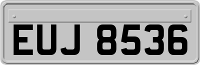 EUJ8536