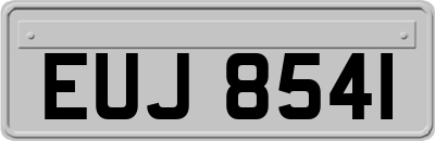 EUJ8541