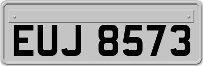 EUJ8573