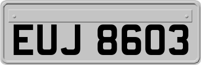 EUJ8603
