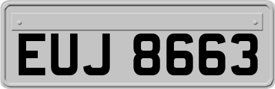 EUJ8663