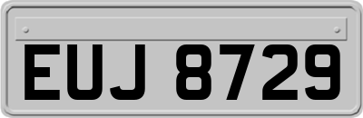 EUJ8729