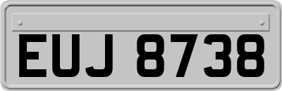 EUJ8738