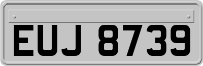EUJ8739