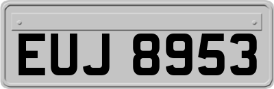 EUJ8953