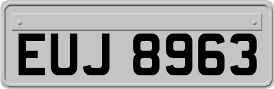 EUJ8963