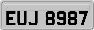 EUJ8987