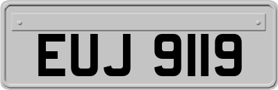 EUJ9119