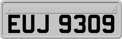 EUJ9309