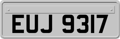 EUJ9317