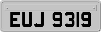 EUJ9319