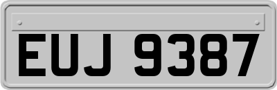 EUJ9387