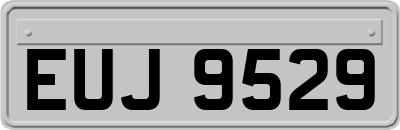 EUJ9529