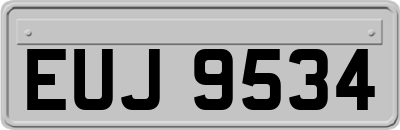 EUJ9534
