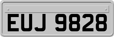 EUJ9828