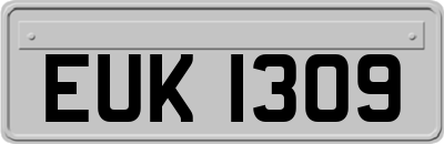 EUK1309