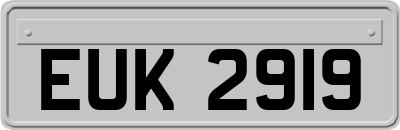 EUK2919