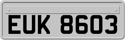 EUK8603