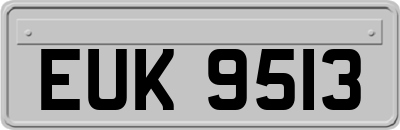 EUK9513