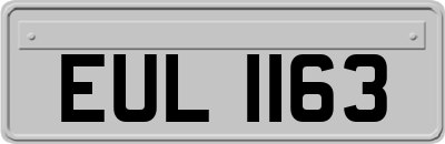 EUL1163
