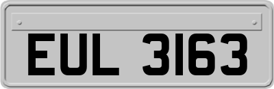 EUL3163