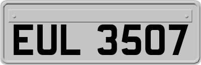 EUL3507
