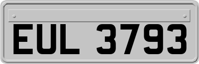 EUL3793