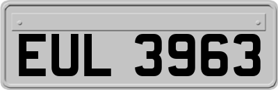 EUL3963